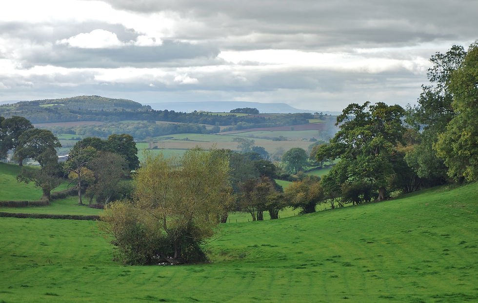 Wye Walk Herefordshire.JPG