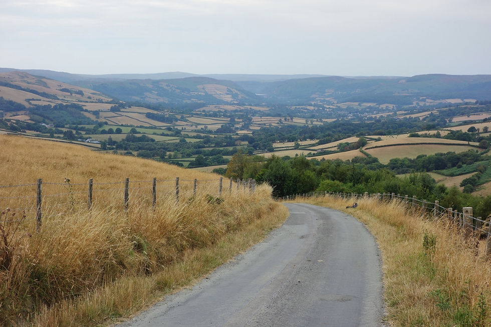 West Cabon Coch Cambrians