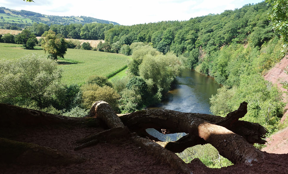 Monnington Scar.JPG