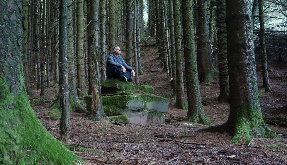 Black Mountains, Black Mountains meditation, retreat in the black mountains wales, black mountains retreat, meditation, forest bathing, bathing in a forest, 