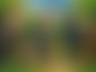 Michael Collins – Unleashed