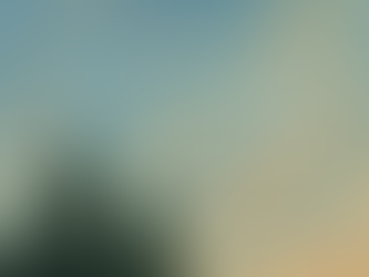 David Gairdner - Wind