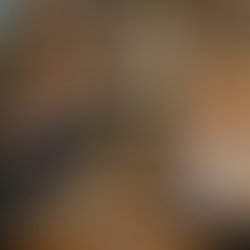 Vesna McMaster – Innocent