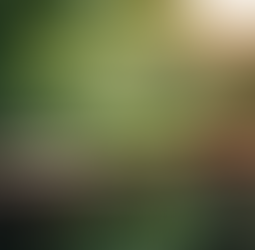 Flying - Michael Sheridan