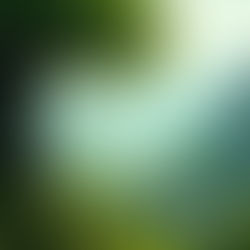 Kevan Smith - Absence