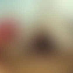 Michael Collins - Tent