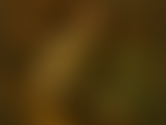 Vesna McMaster - Lose