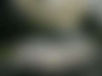 David Gairdner - Shriek