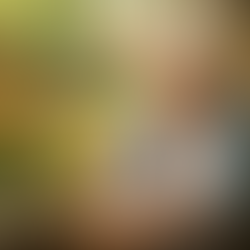  Ricci Schwarzler - Switch