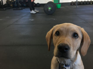 YO4 WOD 23/4/18