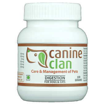 Canine Clan (Digestion)