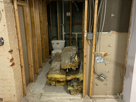 Basement Demo.jpeg
