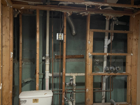 Bathroom Demo.jpeg