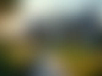 Steps to Successfully Sell Your Property