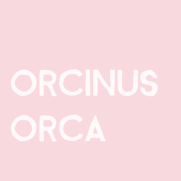 ORCINUS-ORCA.gif