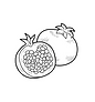 24-247928_pomegranate-drawing-at-getdrawings-colouring-pictures-of-pomegranate_700.png