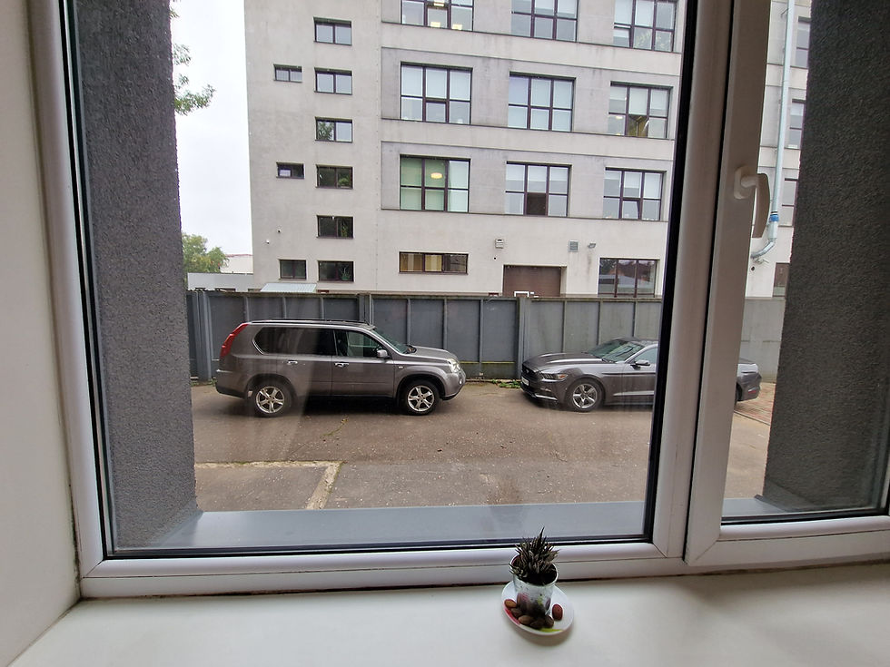 Thumbnail: Studio - Lot 18 | 14,5 m² | 37,959 € | Lettonie