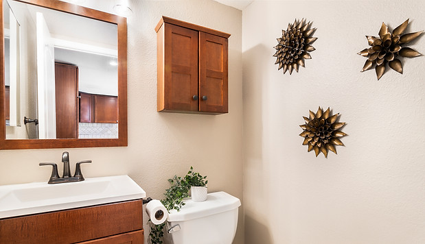 Staged and organized powder room vanity, mirror, toilet, and storage cabinet
