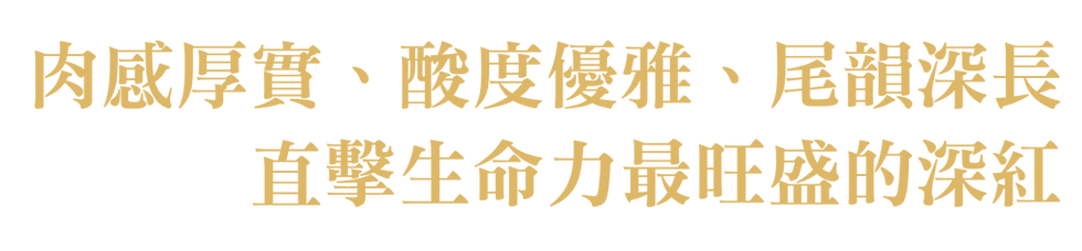 蘭岸web_A4-2.png