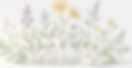 Screenshot 2026-01-29 at 12.45_edited.jpg