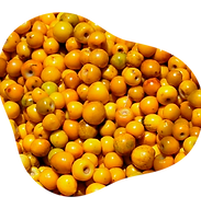 murici.png