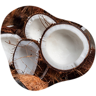 Coco-branco.png