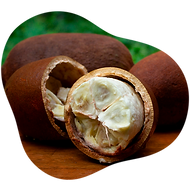 Cupuaçu.png