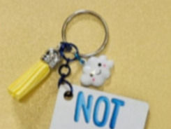 Thumbnail: Not Today Keychain