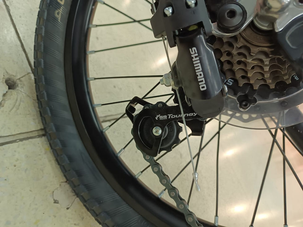 Miniatura: PLEGABLE ROD 20´