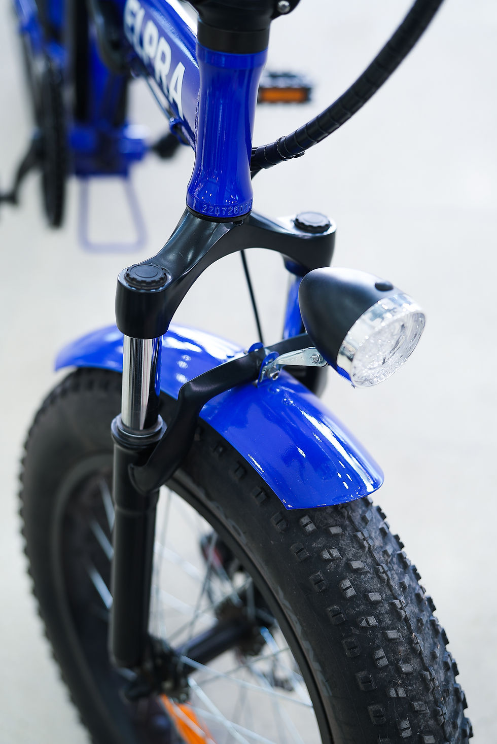 Miniatura: FAT BIKE ELECTRICA