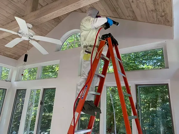 Mold Remediation Service in patio room