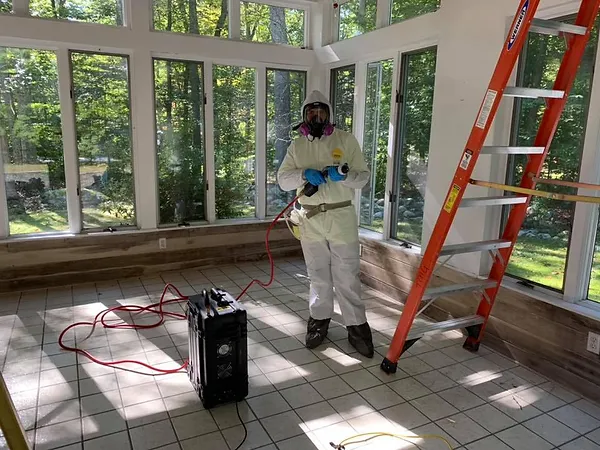 Global One Mold job removal #2.webp