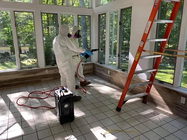 Sanitizing and mold removal