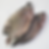 ★ Tilapia Whole
