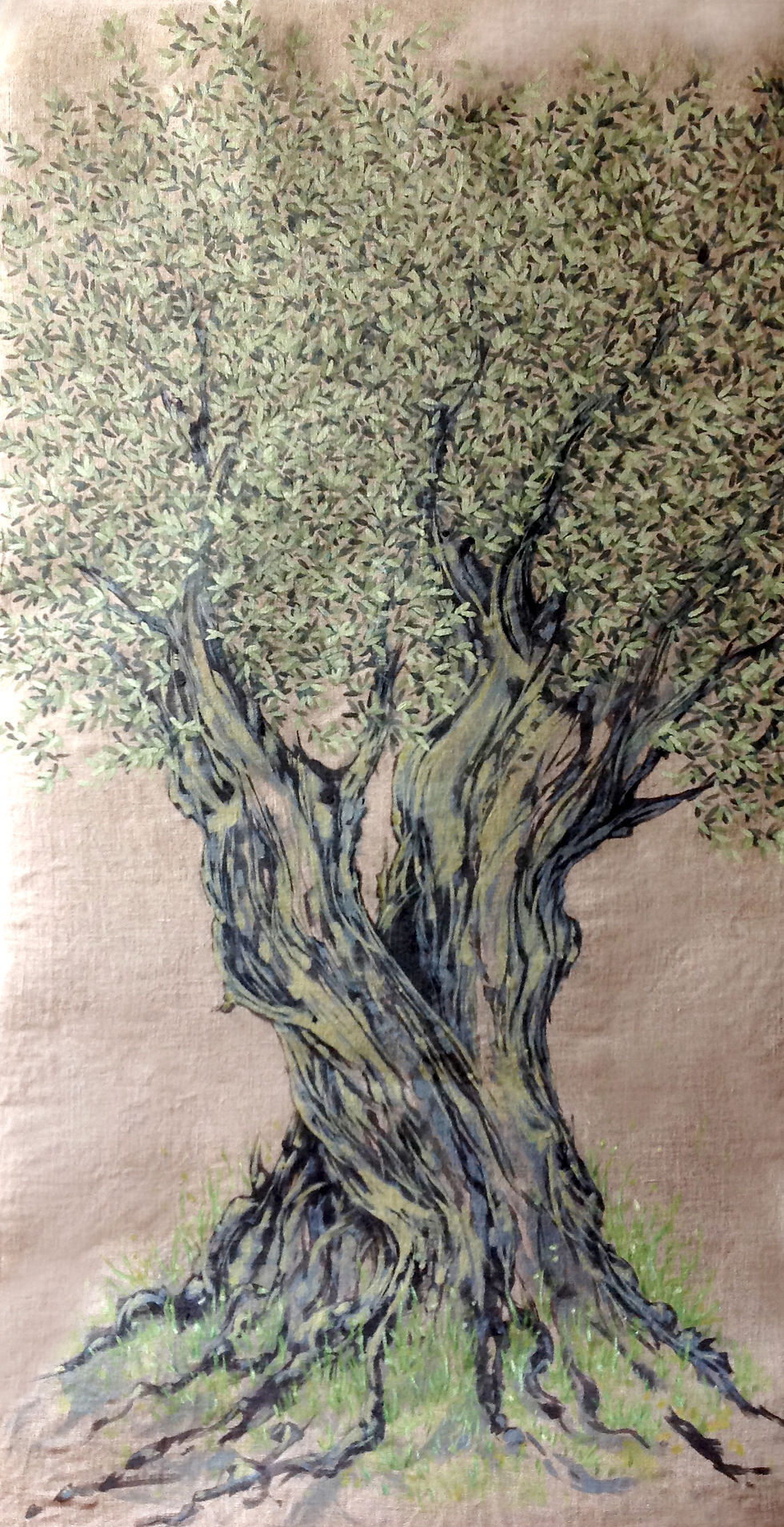 Olive Verte.jpg