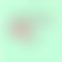 Rowing Upstream - A Journey Through Recovery