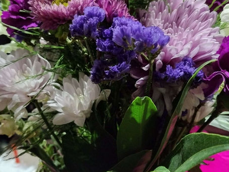 Beautiful flowers