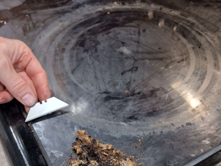 Vision