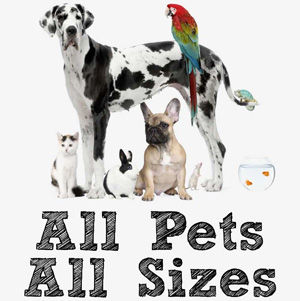 Pet Sitter