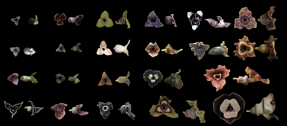 スクリーンショット 2026-01-21 22.37.41