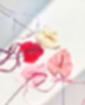 DriedFlowerStems_NZ_edited.jpg