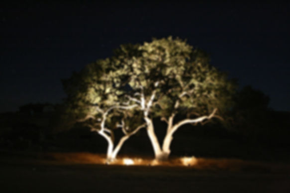 Landscape Lighting