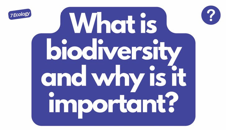 Thumbnail: AQA GCSE Biology Flashcards (Triple Science)
