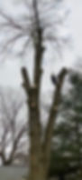 View recent photos.jpeg