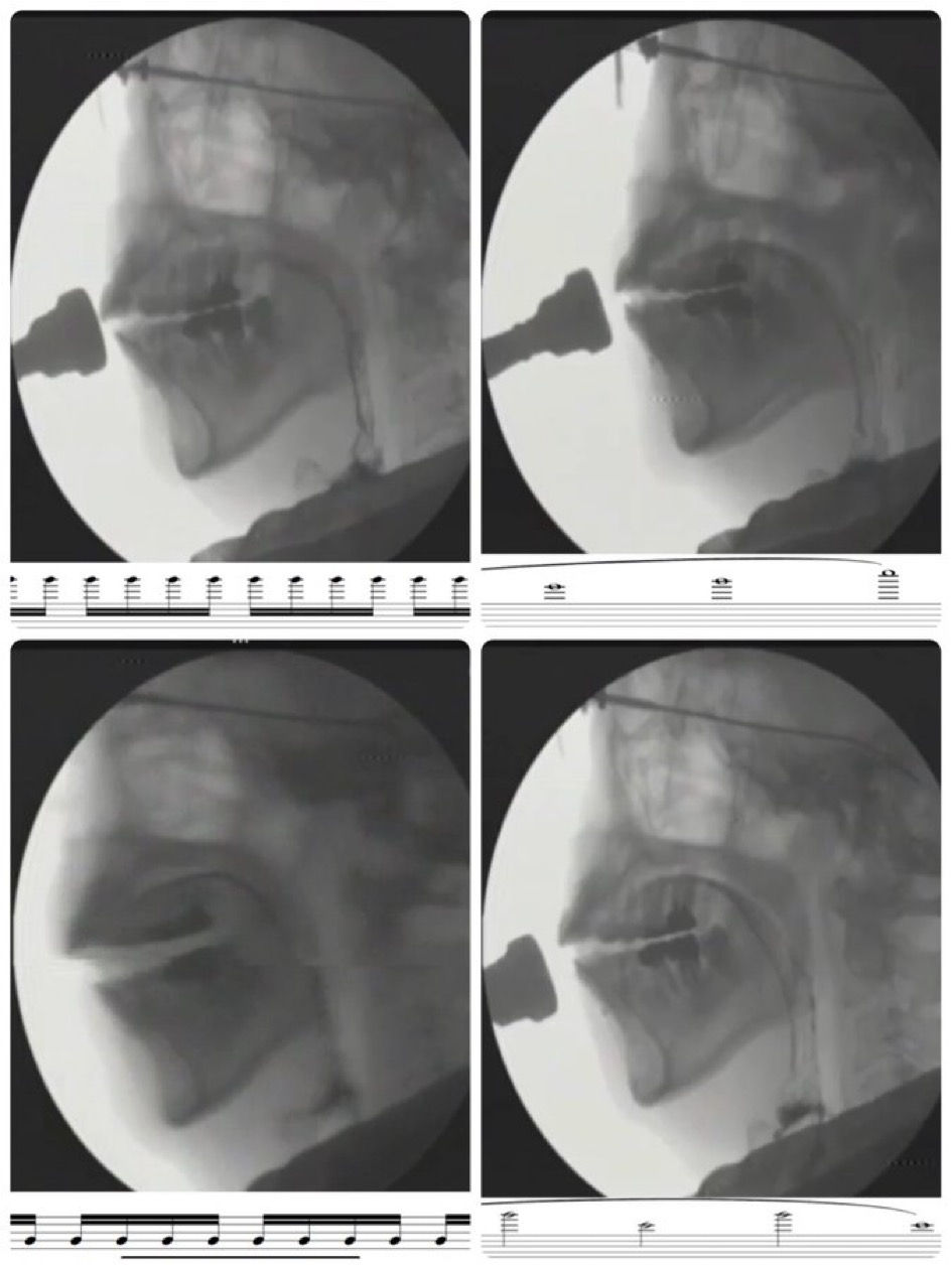 唇の唯一の機能