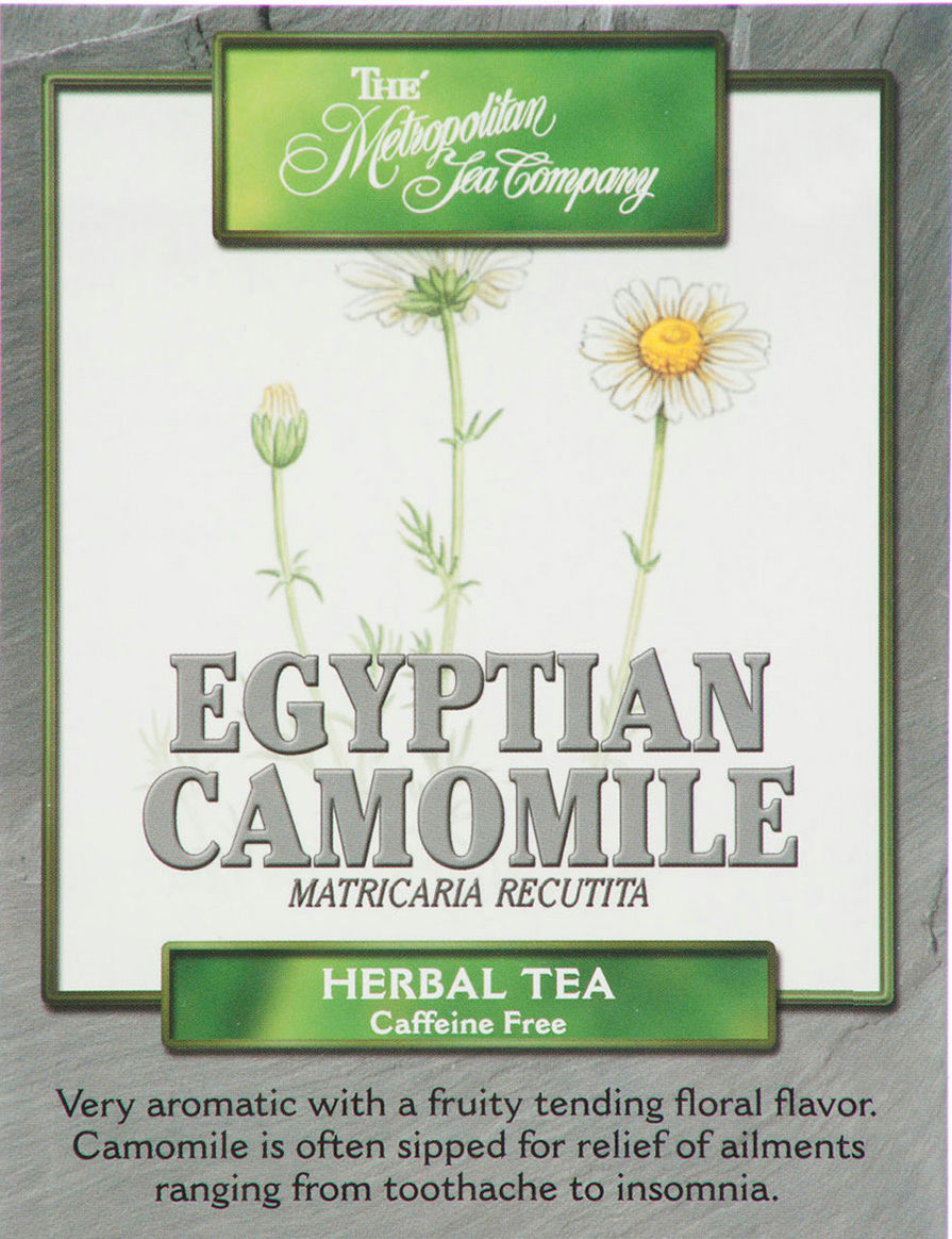 Egyptian Camomile