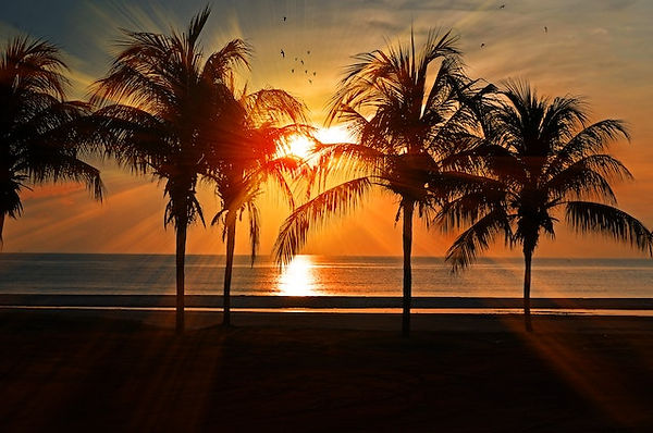sunset