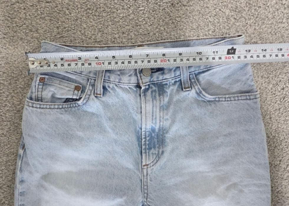 Thumbnail: Aritzia Denim Forum The Marlo High Rise Loose Jeans in Size 24