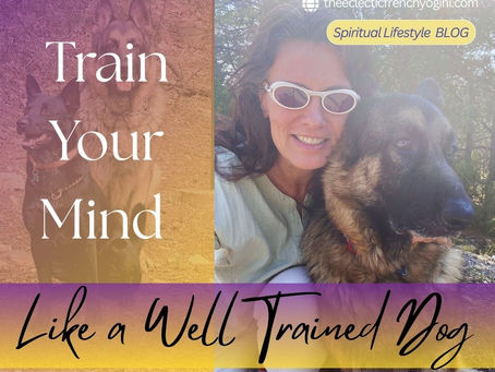 Training Your Mind: How It Becomes an Ally on the Spiritual Journey
