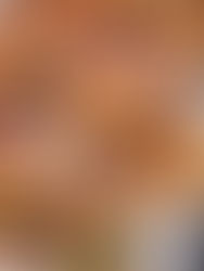 Chili Garlic Broccoli Bites